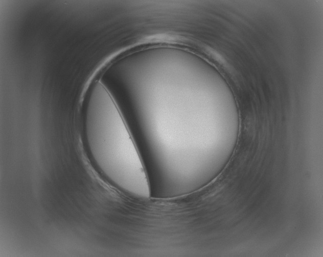 X0000073431323200607280955