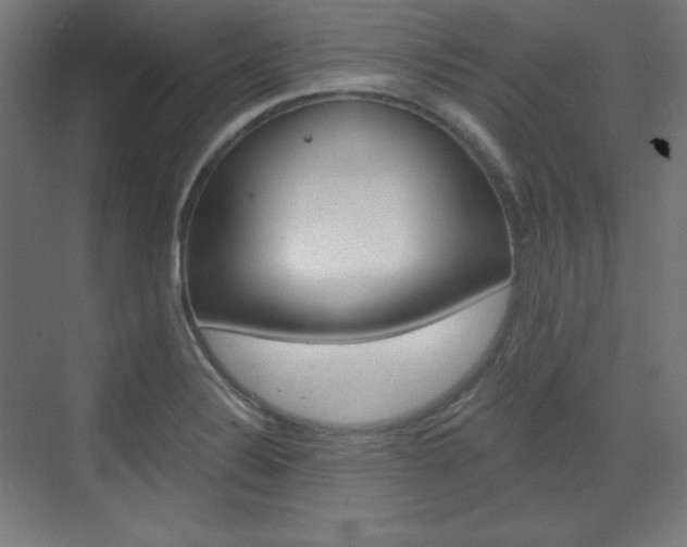 X0000073431324200607280955