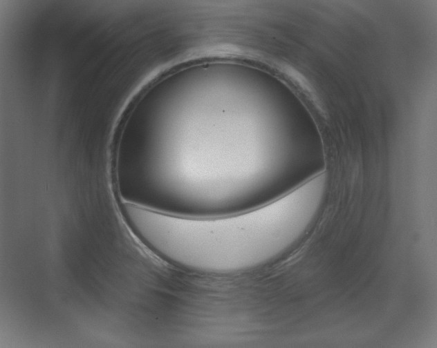 X0000073431326200607280955
