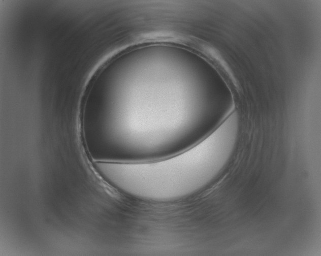 X0000073431328200607280955