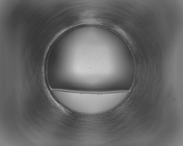 X0000073431331200607280955