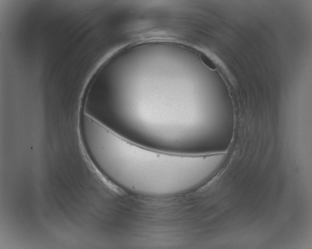 X0000073431333200607280955