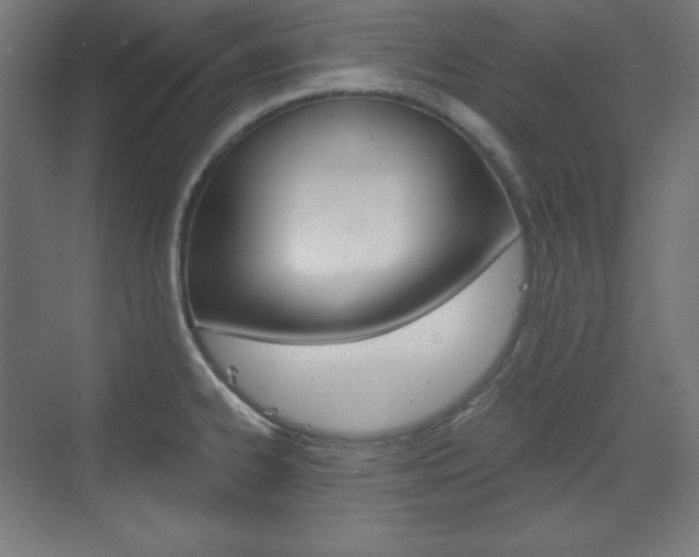 X0000073431334200607280955