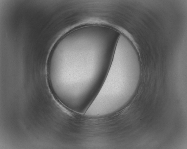 X0000073431335200607280955