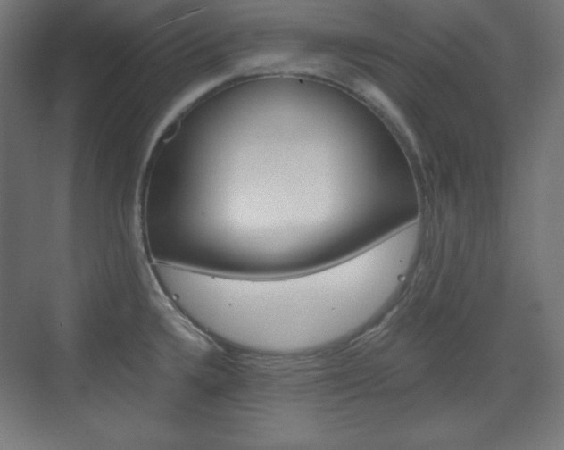 X0000073431336200607280955