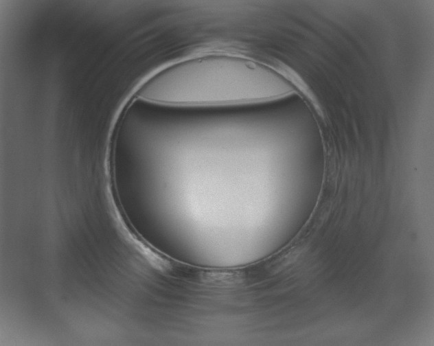 X0000073431339200607280955