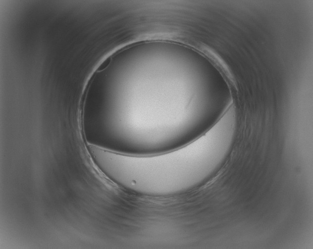 X0000073431340200607280955