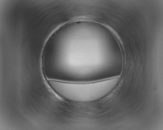 X0000073431341200607280955
