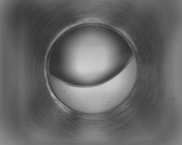 X0000073431342200607280955