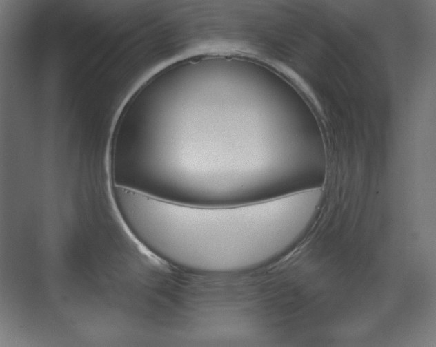 X0000073431343200607280955