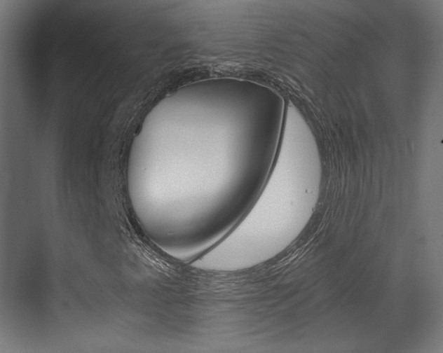 X0000073431345200607280954