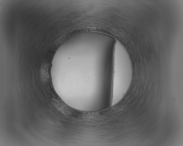 X0000073431347200607280954