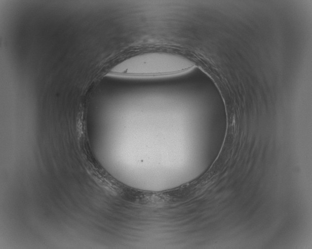 X0000073431348200607280954