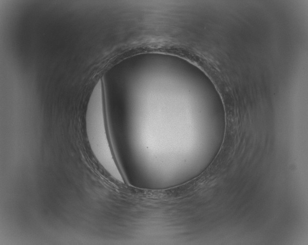 X0000073431349200607280954