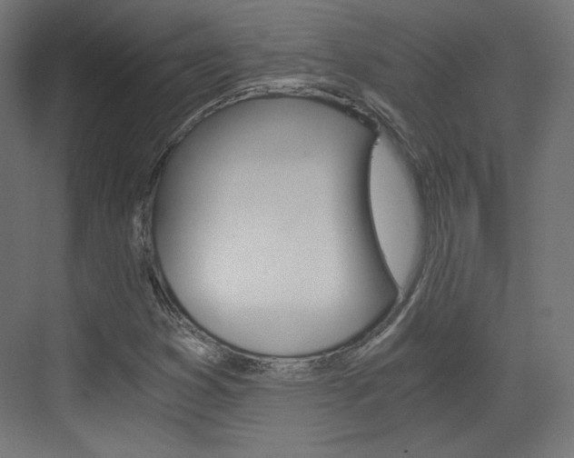 X0000073431353200607280954