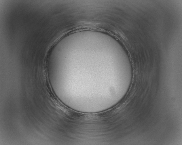 X0000073431354200607280954