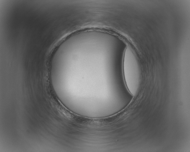 X0000073431359200607280954