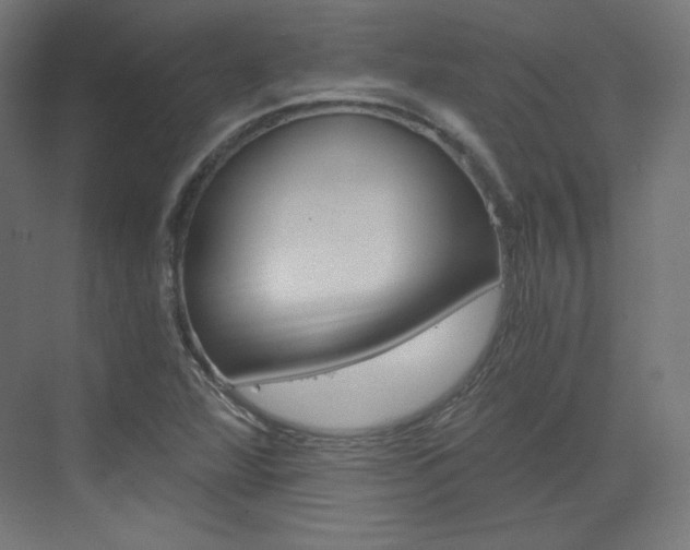 X0000073431360200607280954