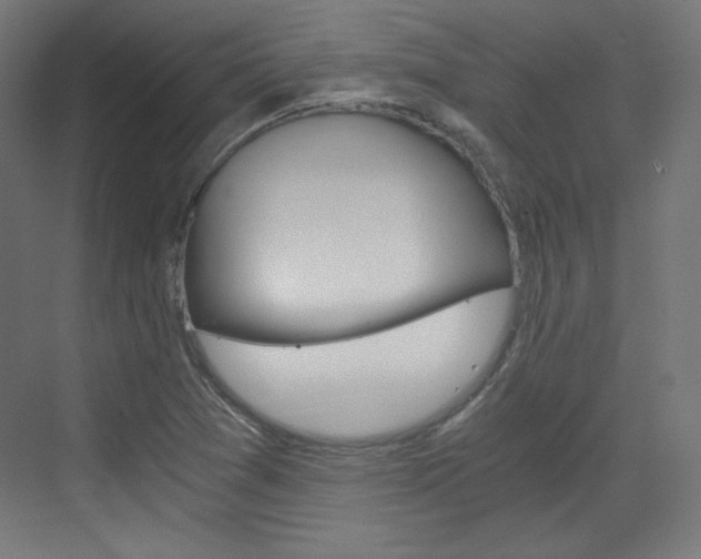 X0000073431361200607280954