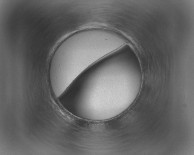 X0000073431363200607280954