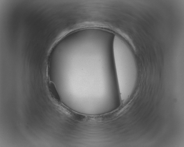X0000073431365200607280954