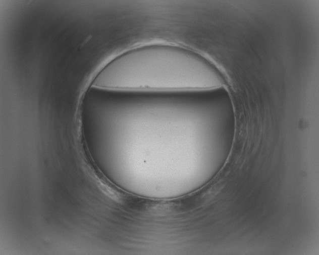 X0000073431367200607280954