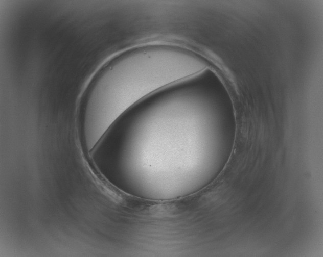 X0000073431368200607280954