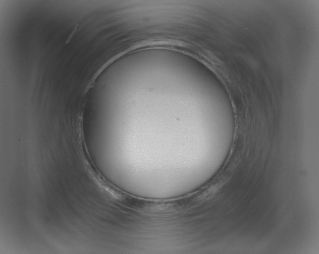 X0000073431369200607280954