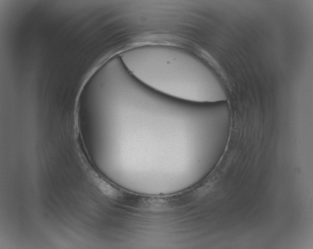 X0000073431370200607280954