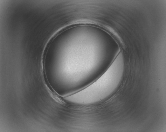 X0000073431372200607280954