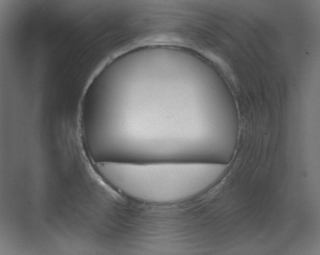 X0000073431374200607280954