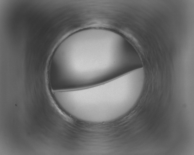 X0000073431375200607280954