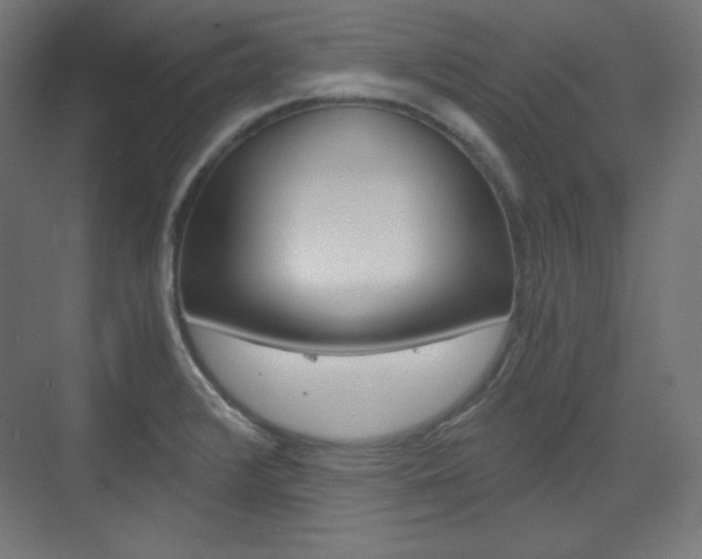 X0000073431376200607280954