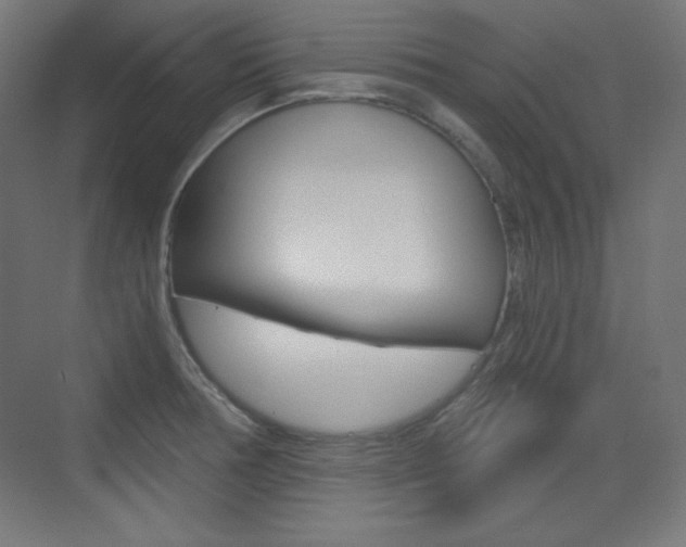 X0000073431378200607280954