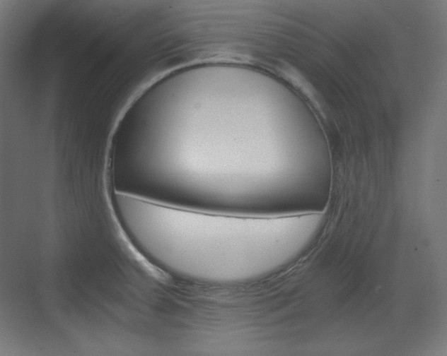 X0000073431379200607280954