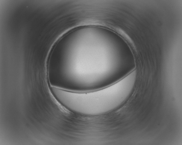 X0000073431380200607280954