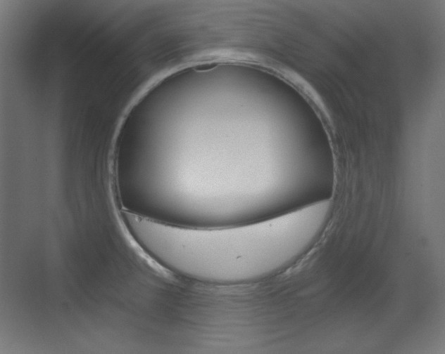 X0000073431381200607280954
