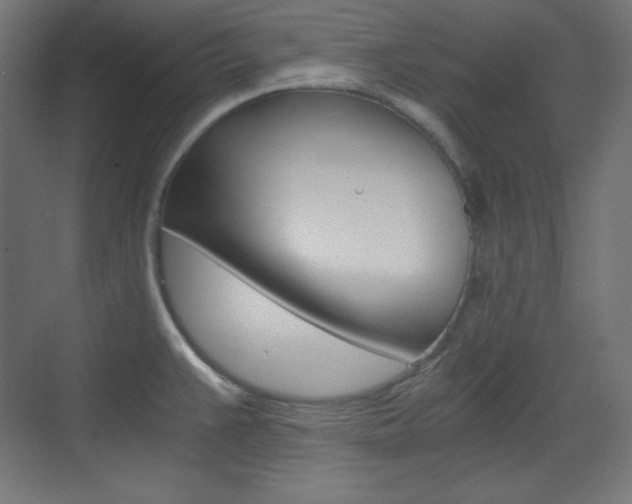 X0000073431383200607280954