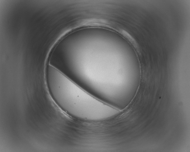 X0000073431384200607280954