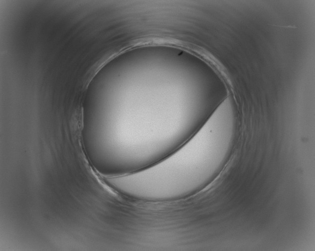 X0000073431385200607280954