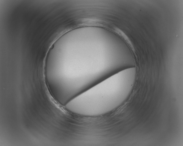 X0000073431386200607280954