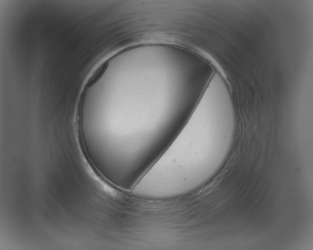 X0000073431387200607280954