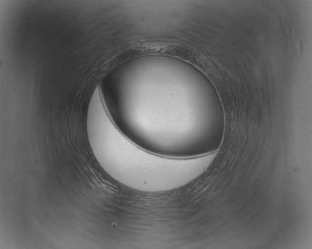X0000073431394200607280953