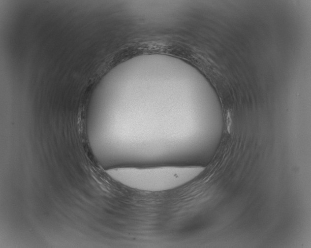 X0000073431395200607280953
