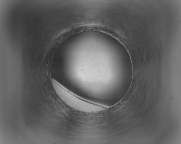 X0000073431398200607280953