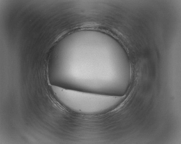 X0000073431401200607280953
