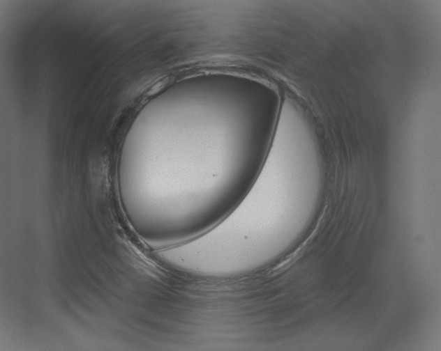 X0000073431402200607280953