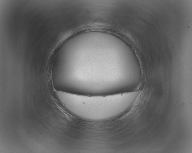 X0000073431405200607280953