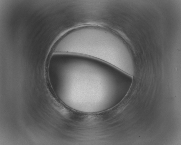 X0000073431412200607280953