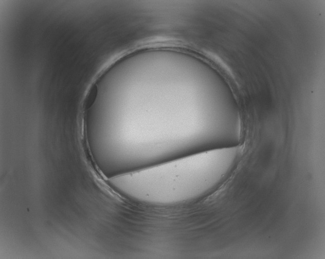 X0000073431413200607280953
